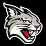 Davidson Wildcats
