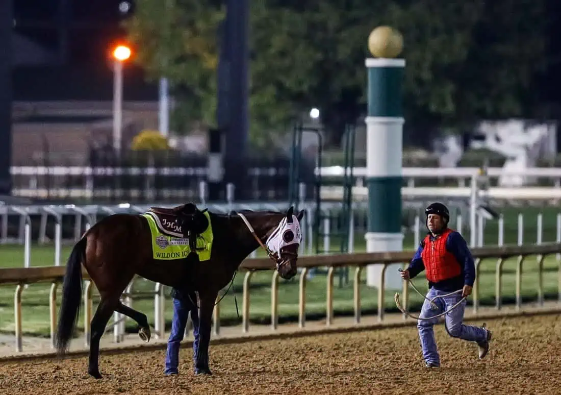 Churchill Downs carnage Seven horse deaths in 10 days SportsHub