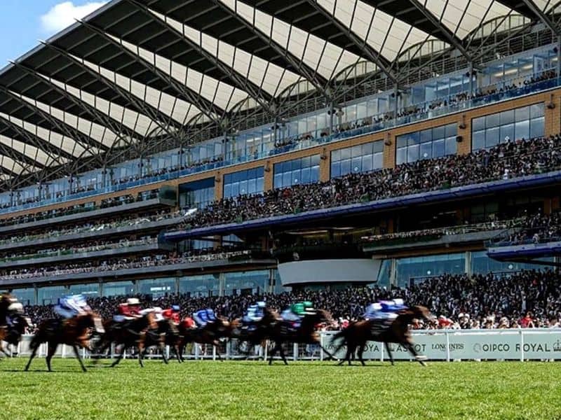 Tracking the Horses King Weekend SportsHub