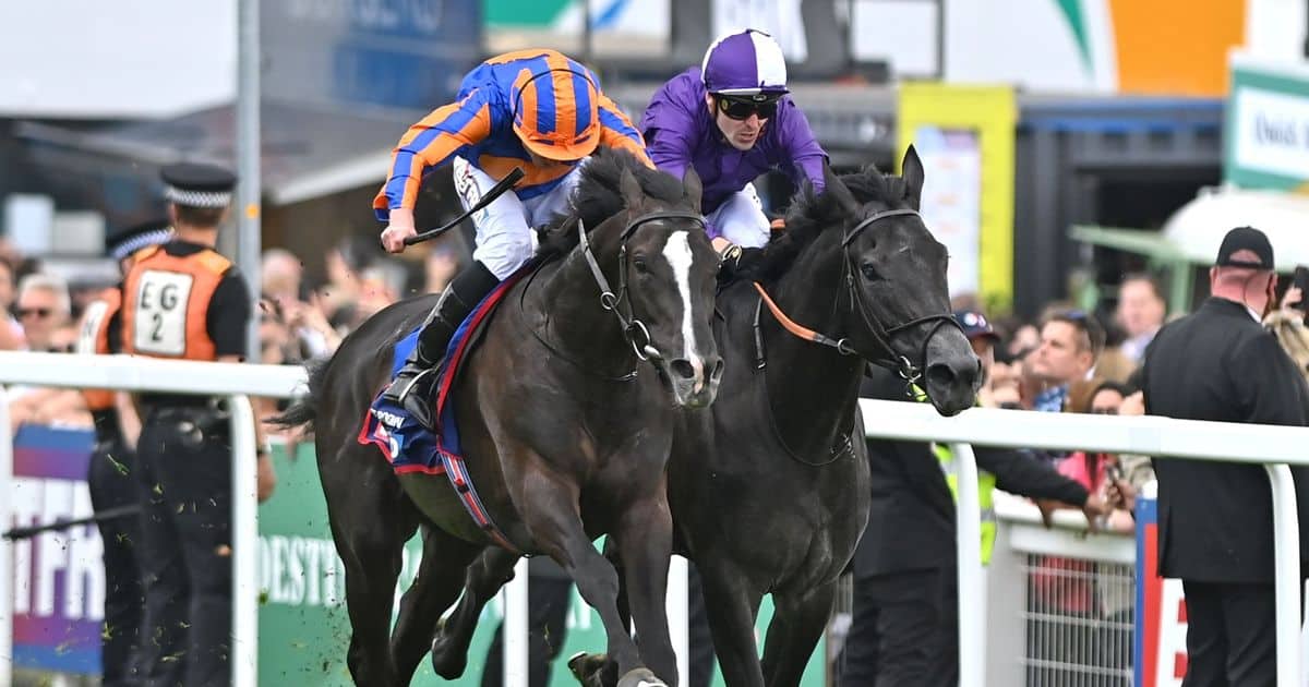 Auguste Rodin at King George at Ascot