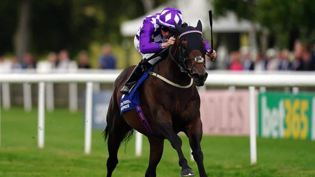 Tracking the Horses - Our Weekly Look at Horse Racing