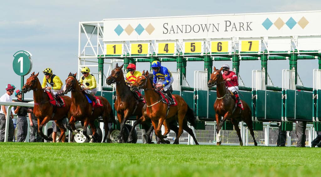 Horses Racing at Sandown Park