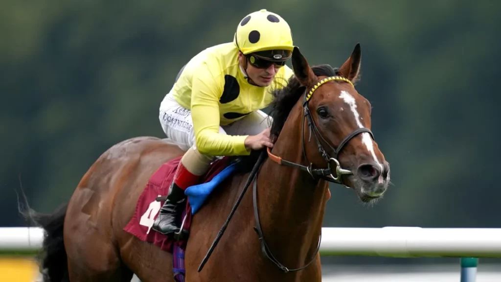 Andrea Atzeni In the Goodwood cup riding Stradivarius