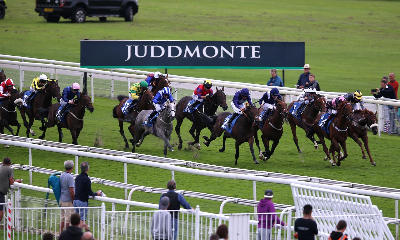 Juddmonte International Stakes