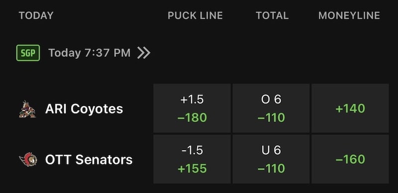 Puck Line, Total, and Moneyline Bets