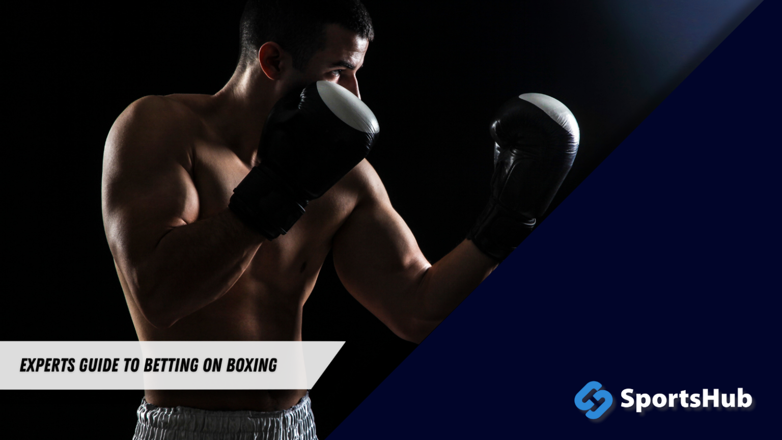 Experts Guide to Boxing