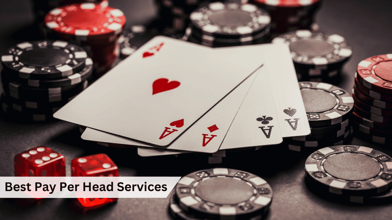 Best Pay Per Head Services